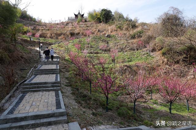 阳明温泉山庄