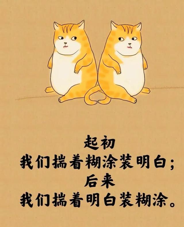 所谓的人生就是⋯