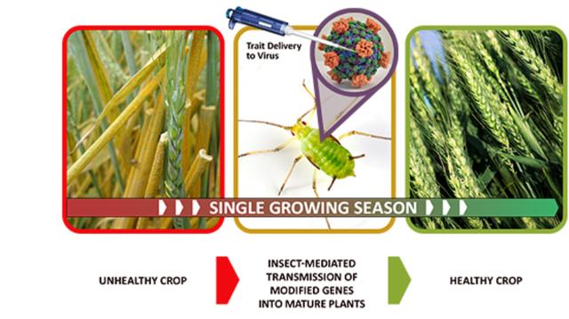世界应警惕的不是8130亿军费，而是高达882亿的“生物安全”经费