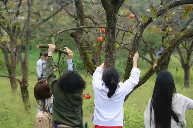 一座舊學校改造的木藝民宿，庭院玻璃湯泉、手工木作、溯溪撈魚