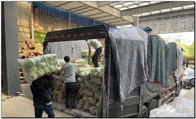 愤怒！众多城市支援上海竟然毫无热度？我们上海人不答应