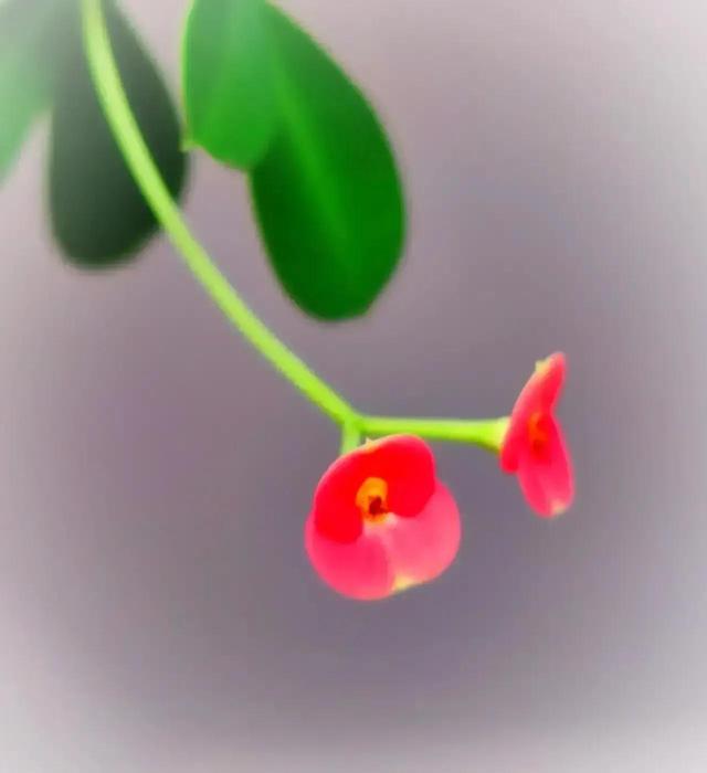 神秘的自然界，无奇不有，美不胜收