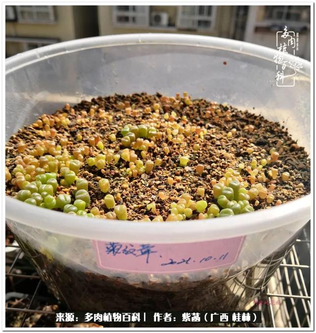 桂林滚筒式洗砂机厂家