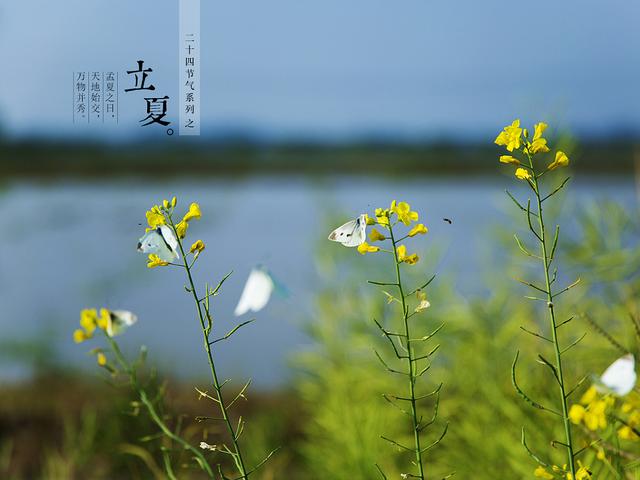 立夏将至，春夏交替期间，“牢记3吃4不做”，随节气变化顺利入夏