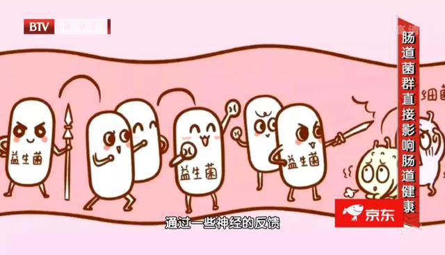 益生菌、益生元、合生元，到底该怎么吃、怎么选？