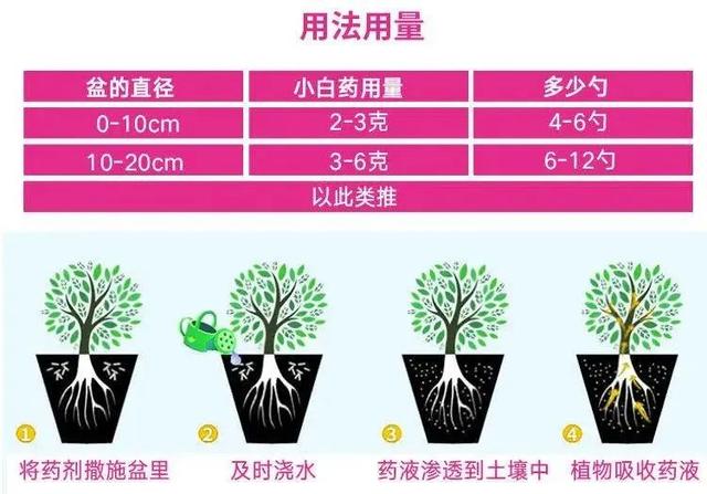 一把白色小豆豆撒土里，啥虫都能杀死，全年不生虫，干干净净21