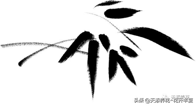 「普及一下」红鲸鱼花怎么养殖(红鲸鱼花的修剪方法)