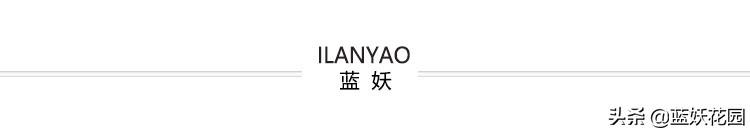 晚香玉 晚香玉（晚香玉花语） 生活