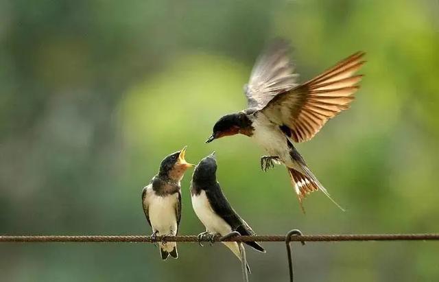 头皮发麻鸡皮疙瘩