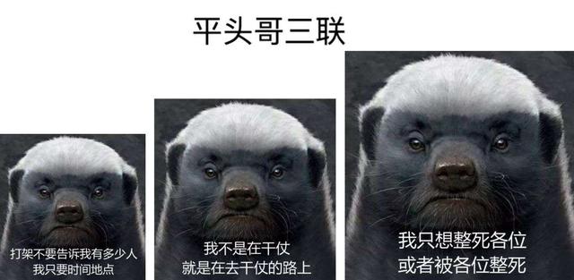 人間煉獄！巴西蛇島每平方米5條蛇，一家五口上島守燈塔慘遭滅門
