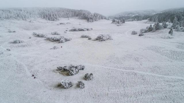 冬天的仙女山...現實版的冰雪奇緣，美爆了