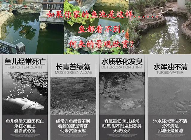 出售加压转鼓过滤机