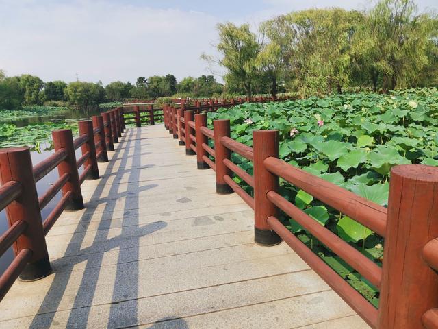 浙江农家乐一览表