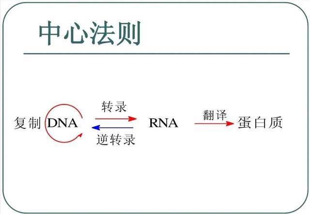 我们都是外星后代？70亿岁陨石发现DNA成分！地球生命或来自太空