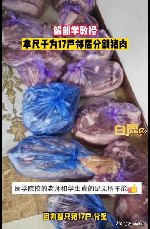 上海一解剖学教授帮邻居分割猪肉