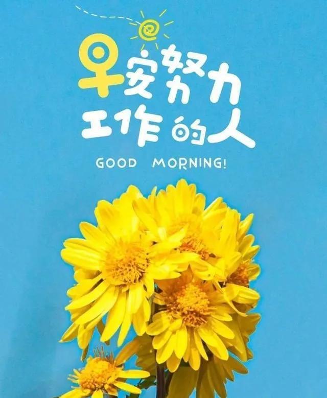 早安励志心语，播种阳光，收获微笑，放慢脚步，享受美好的东西