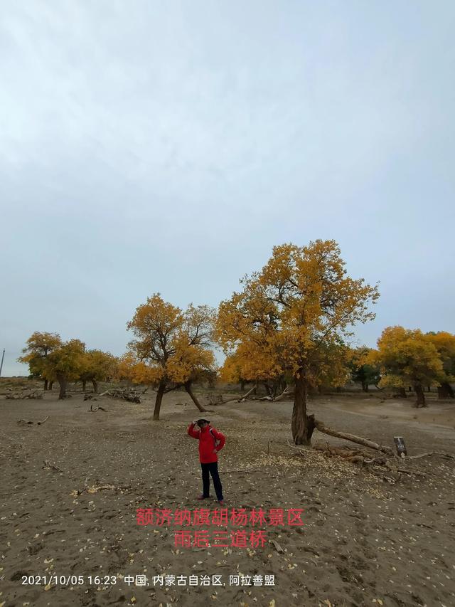西行漫記之10月5日內蒙古篇