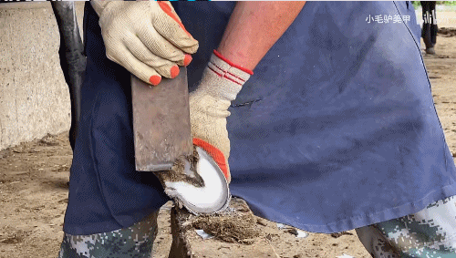 八字一个火独财掌千金