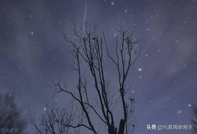 老阁主写诗｜第28期：珍重王孙意，回首拾锦声