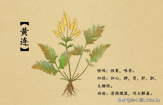 治疗糖尿病基础方（适用于各型糖尿病）