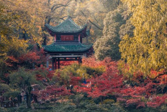 万里长江，险在荆江：这里为何号称中国“龙腰”？