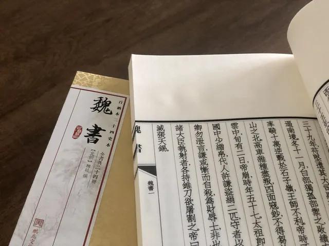 历史上真实的南北朝——北魏的六镇起义和北魏的分裂