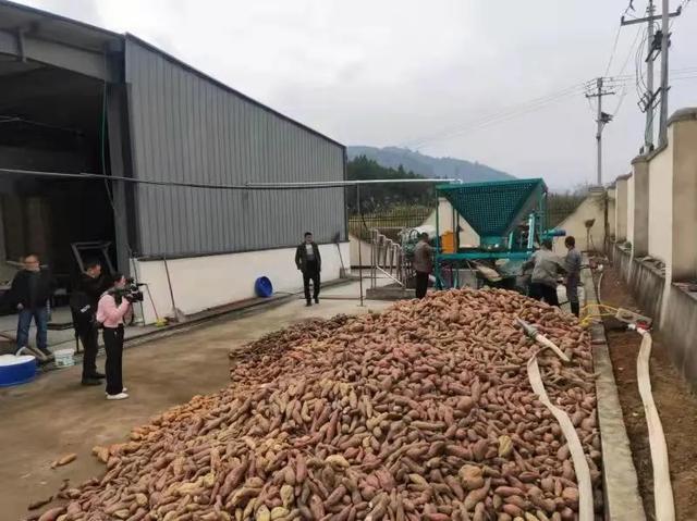 遵义大型木材破碎机