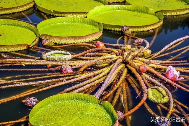 年末最佳11個旅行地推薦，再冷的冬天，也要活出個熱氣騰騰