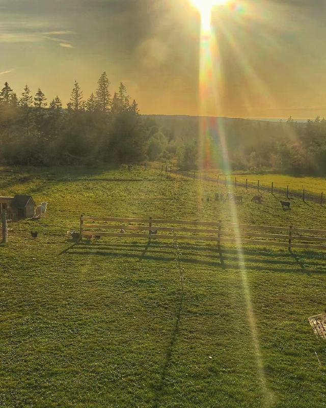 [苹果快乐星球语音群发]，微信怎么上传动态图到朋友圈