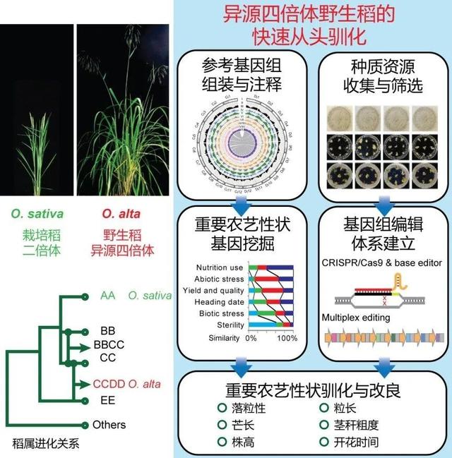 安徽第三代制砂机厂家