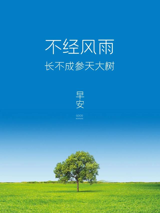 「2022.05.10」早安心语，正能量最美语录分享 早上好励志暖心短句