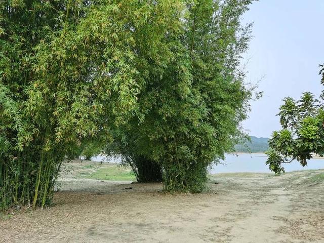 這裏有千島風光 這裏有風車雲海，這裏與繁華無關 卻與天地相連
