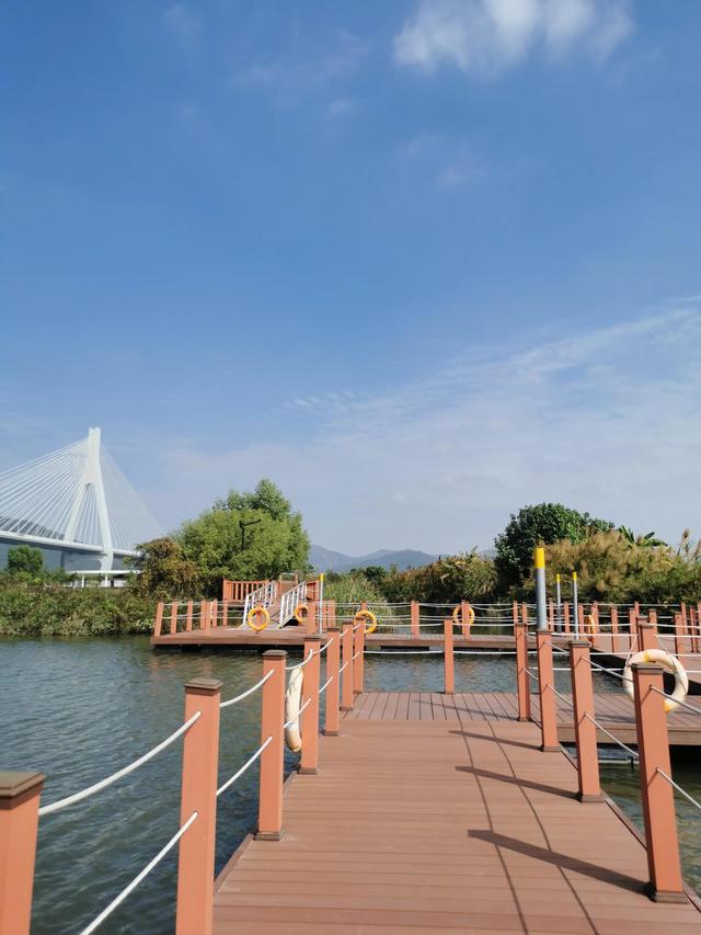 珠海橫琴芒洲溼地公園(橫琴溼地公園最新消息)