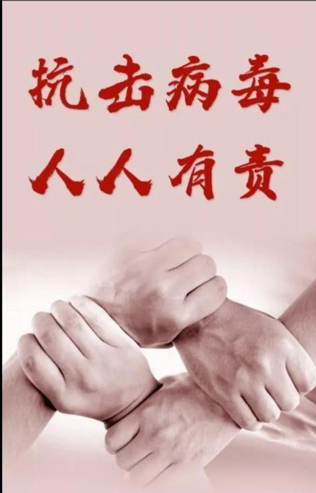河北｜疫情，5月12日最新消息，昨日新增本土无症状感染者10例