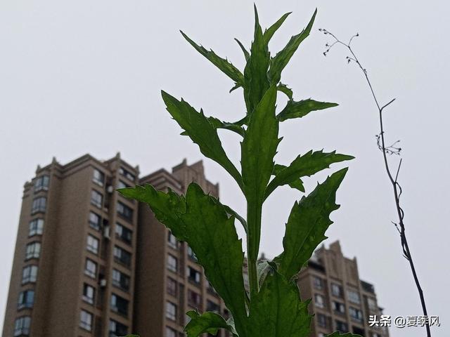 好消息：广东先行，从今年5月起，生育子女无须再审批