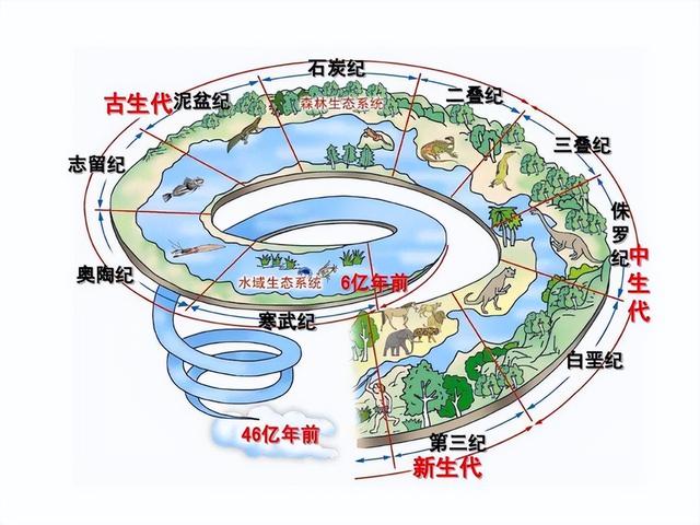科学家警告：种种迹象已经表明，地球可能正进入第六次生物大灭绝