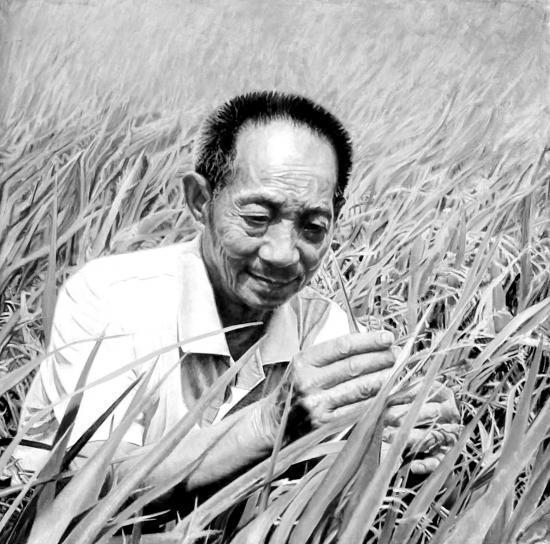 为什么诺贝尔奖这么多年未提名袁隆平？成果造福世界，却败给现实