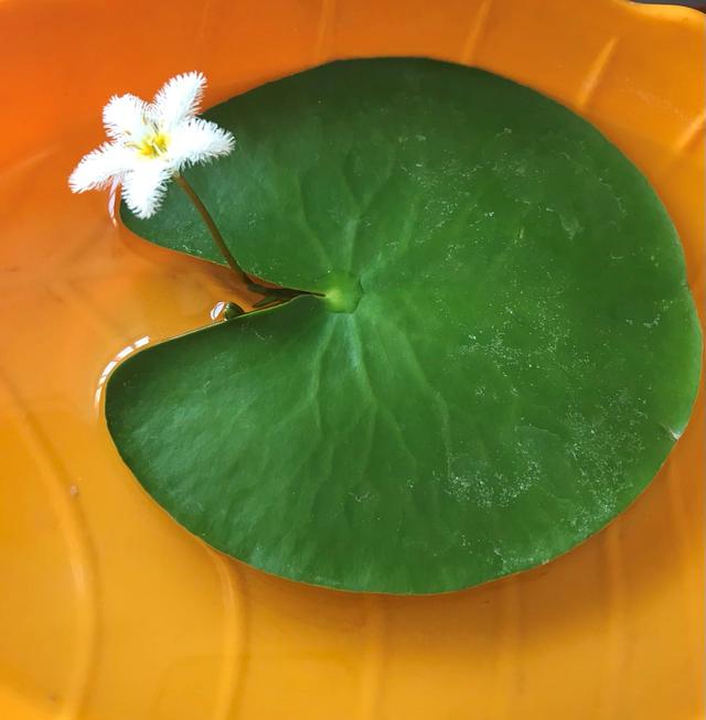我的闹钟没有响