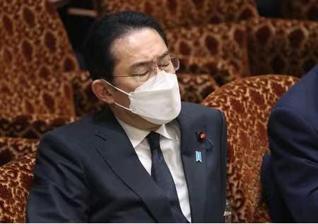 日本反对无效，普京批准在南千岛群岛设经济特区，已邀请中国开发