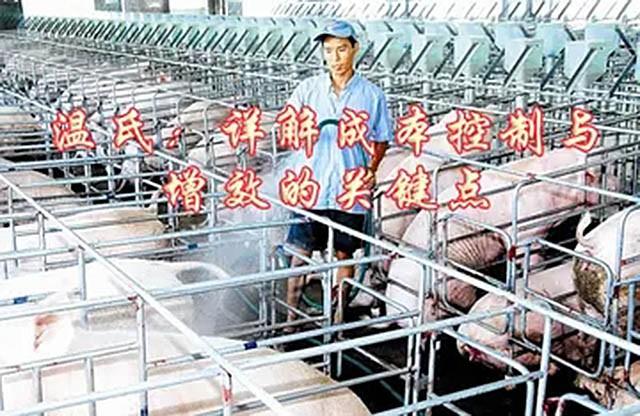 亚洲第一养殖户，年入500亿培养48个亿万富翁，保洁阿姨身价千万