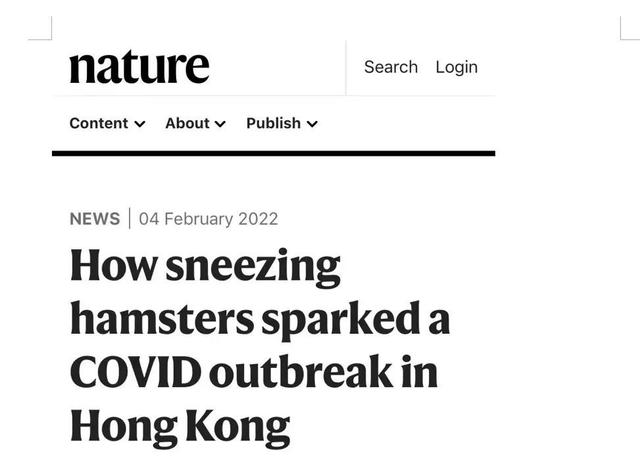 两周后单日新增可能破万？香港何去何从？