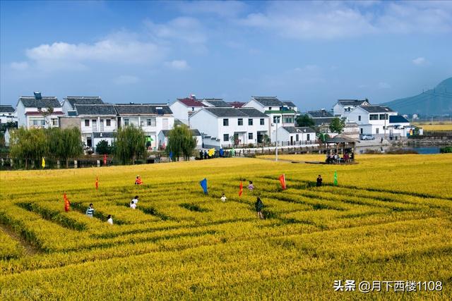 哪个省人最丑男人五官好看，哪个省人最丑十大排名