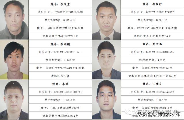 曝光! 武都区法院公布2022年第一批失信被执行人名单（172人）