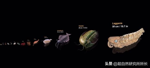 如果把地球的一生浓缩成一天，会发生什么？超出你想象的地球故事