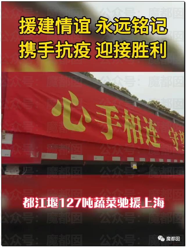 愤怒！众多城市支援上海竟然毫无热度？我们上海人不答应