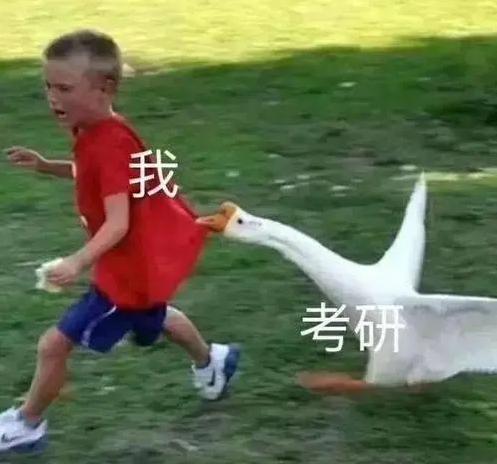 2022年考研国家线下发，将有300万人落榜，落榜考生何去何从？