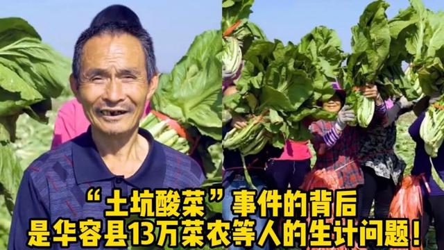 “老坛酸菜”事件影响13万人生计：39家工厂停产，害群之马是谁？
