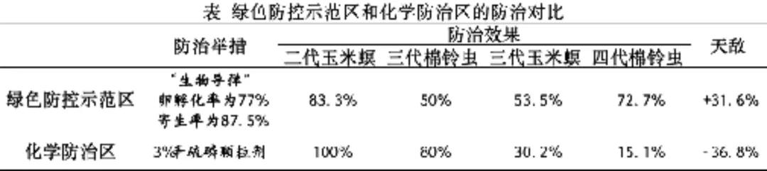 病虫害绿色防治防控，以防治玉米螟为主的夏玉米绿色防控示范区5