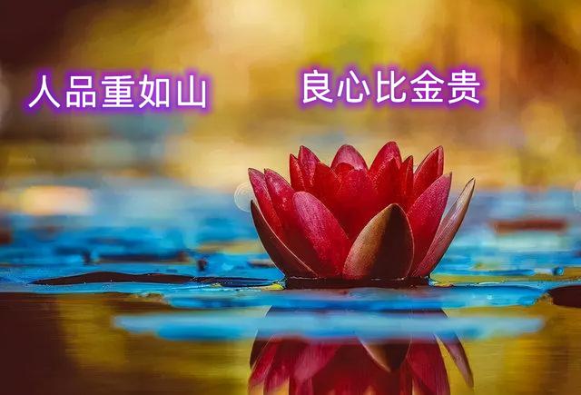 良心做人，良心做事，问心无愧，心安一生