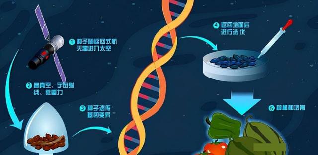 人类是否可以成为太空种族？美国NASA：研究太空性学为远航做准备